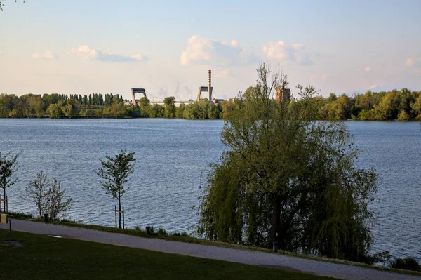 Baharın açık bir gününde, yol ve gölün kıyısında söğüt ağacı.