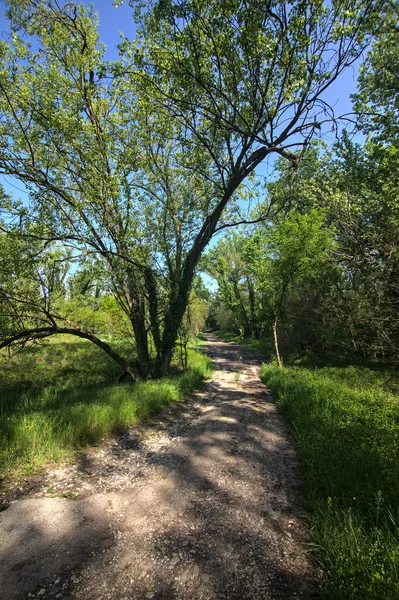 Sendero Barro Con Charcos Parque Las Afueras Una Ciudad Italiana —  Fotos de Stock