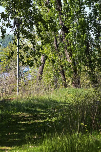 Baharda İtalya 'nın kenar mahallelerinde uzanan bir göl yolu.