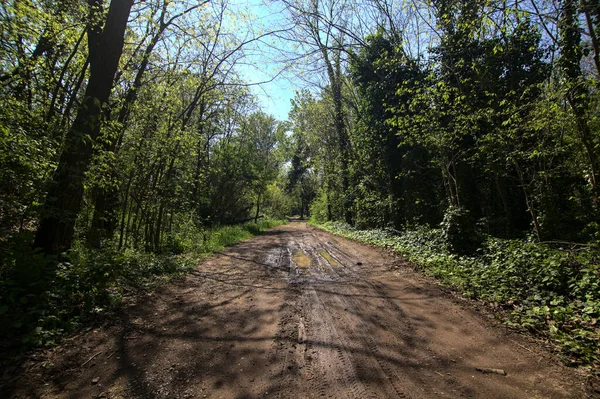 Chemin Boueux Avec Flaques Dans Parc Périphérie Une Ville Italienne — Photo