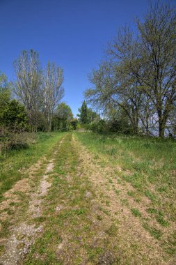 Baharın açık bir gününde gölün kıyısındaki ağaçlarla çevrili toprak patika.