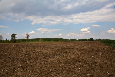 İtalya 'nın kırsal kesimindeki tarlalar açık bir bahar gününde sürülür.