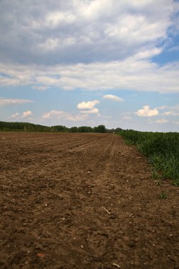 İtalya 'nın kırsal kesimindeki tarlalar açık bir bahar gününde sürülür.