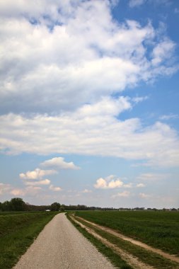 İlkbaharda İtalya 'nın kırsal kesimindeki tarlaların yanındaki çakıl yolu.