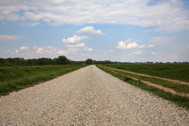 İlkbaharda İtalya 'nın kırsal kesimindeki tarlaların yanındaki çakıl yolu.