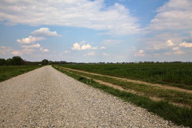 İlkbaharda İtalya 'nın kırsal kesimindeki tarlaların yanındaki çakıl yolu.