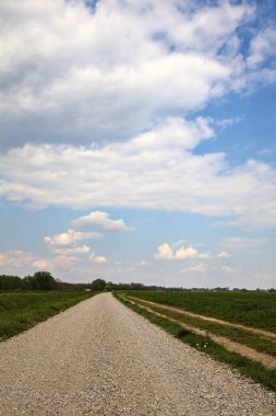 İlkbaharda İtalya 'nın kırsal kesimindeki tarlaların yanındaki çakıl yolu.