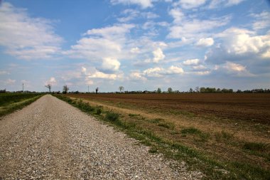 İlkbaharda İtalya 'nın kırsal kesimindeki tarlaların yanındaki çakıl yolu.
