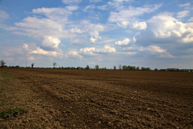 İtalya 'nın kırsal kesimindeki tarlalar açık bir bahar gününde sürülür.