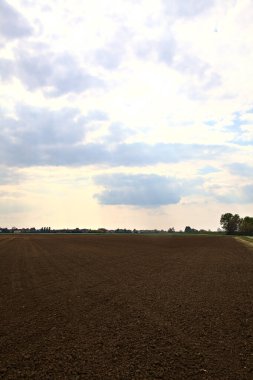 İtalya 'nın kırsal kesimindeki tarlalar açık bir bahar gününde sürülür.