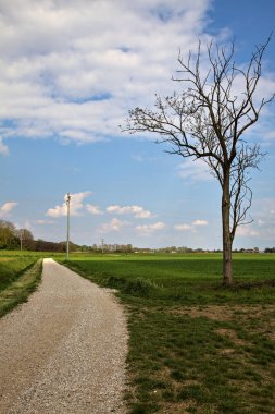 İlkbaharda İtalya 'nın kırsal kesimindeki tarlaların yanındaki çakıl yolu.