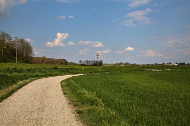 İtalya 'nın kırsal kesimlerinde baharın açık bir gününde tarla ile çevrili çakıl yolu.