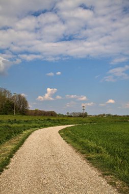 İtalya 'nın kırsal kesimlerinde baharın açık bir gününde tarla ile çevrili çakıl yolu.
