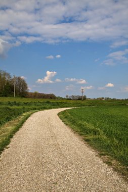 İtalya 'nın kırsal kesimlerinde baharın açık bir gününde tarla ile çevrili çakıl yolu.