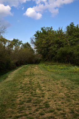 İtalya 'nın kırsal kesimindeki bir su deresinin yanındaki korulukta otlak bir patika.