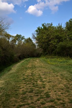 İtalya 'nın kırsal kesimindeki bir su deresinin yanındaki korulukta otlak bir patika.