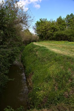 İtalya 'nın kırsal kesimindeki bir su deresinin yanındaki korulukta otlak bir patika.
