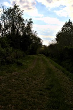 İtalya 'nın kırsal kesimindeki bir su deresinin yanındaki korulukta otlak bir patika.
