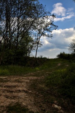 İtalyan kırsalındaki ağaçlarla çevrili bir tarlaya çıkan eski merdivenli yol.