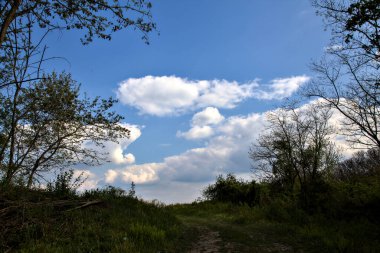 İtalyan kırsalındaki ağaçlarla çevrili bir tarlaya çıkan eski merdivenli yol.