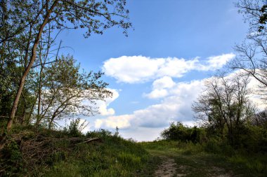 İtalyan kırsalındaki ağaçlarla çevrili bir tarlaya çıkan eski merdivenli yol.