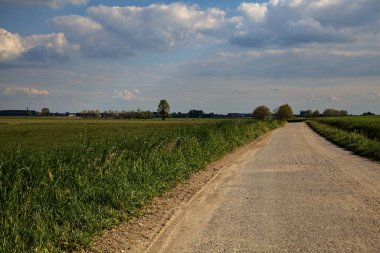 İtalya 'nın kırsal kesimlerinde baharın açık bir gününde tarla ile çevrili çakıl yolu.