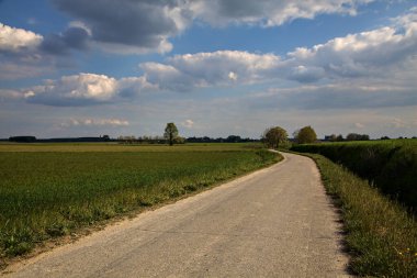 İtalya 'nın kırsal kesimlerinde baharın açık bir gününde tarla ile çevrili çakıl yolu.
