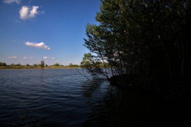 Gölgedeki bir nehrin kıyısında İlkbaharda İtalya kırsalındaki ağaçlar tarafından çerçevelenmiş