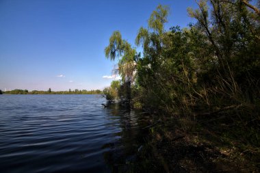Gölgedeki bir nehrin kıyısında İlkbaharda İtalya kırsalındaki ağaçlar tarafından çerçevelenmiş