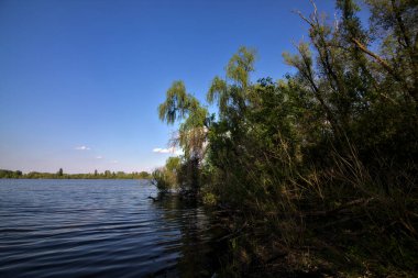 Gölgedeki bir nehrin kıyısında İlkbaharda İtalya kırsalındaki ağaçlar tarafından çerçevelenmiş