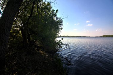 Gölgedeki bir nehrin kıyısında İlkbaharda İtalya kırsalındaki ağaçlar tarafından çerçevelenmiş