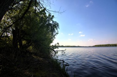 Gölgedeki bir nehrin kıyısında İlkbaharda İtalya kırsalındaki ağaçlar tarafından çerçevelenmiş