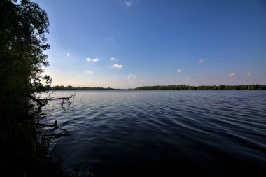 Gölgedeki bir nehrin kıyısında İlkbaharda İtalya kırsalındaki ağaçlar tarafından çerçevelenmiş