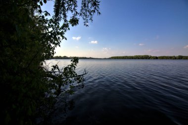 Gölgedeki bir nehrin kıyısında İlkbaharda İtalya kırsalındaki ağaçlar tarafından çerçevelenmiş