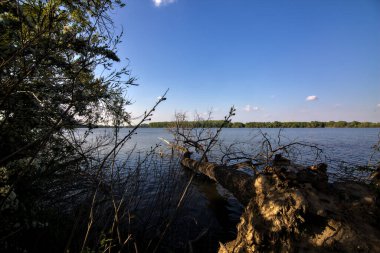 İtalya kırsalında bir nehrin kıyısında devrilmiş bir ağaç.
