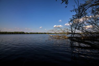 İtalya kırsalında bir nehrin kıyısında devrilmiş bir ağaç.