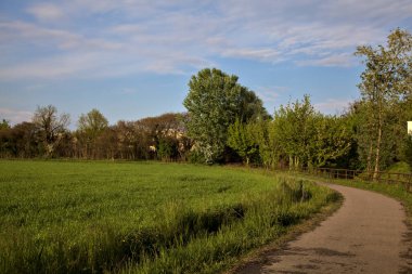 Bisiklet yolu ilkbaharda gün batımında bir tarlayla sınırlıydı.