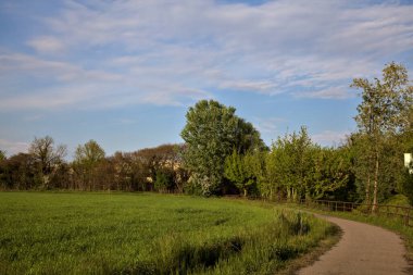 Bisiklet yolu ilkbaharda gün batımında bir tarlayla sınırlıydı.