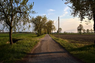 Gün batımında tarlaların yanındaki yolda.