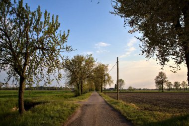 Gün batımında tarlaların yanındaki yolda.