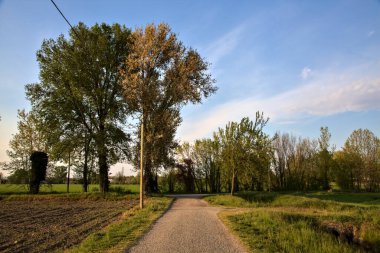 Gün batımında tarlaların yanındaki yolda.