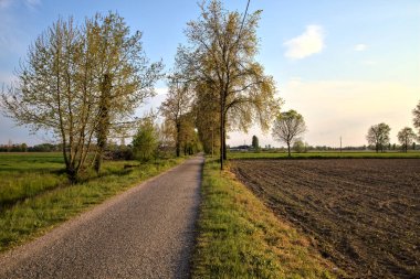 Gün batımında tarlaların yanındaki yolda.