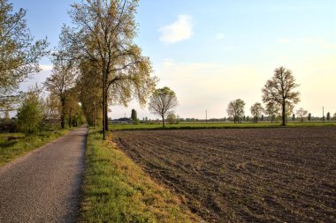 Gün batımında tarlaların yanındaki yolda.