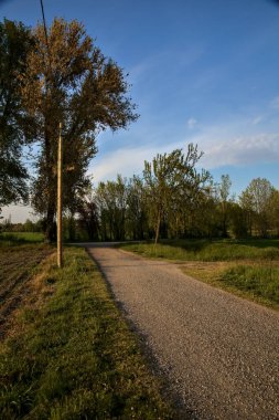 Gün batımında tarlaların yanındaki yolda.