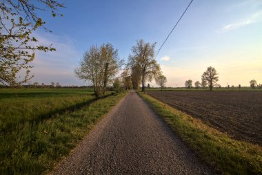 Gün batımında tarlaların yanındaki yolda.