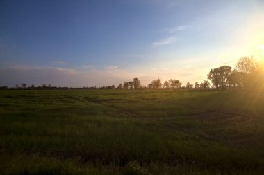 Gün batımında tarlaların yanındaki yolda.