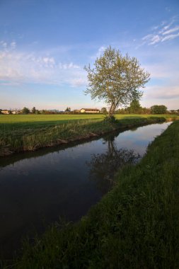 Gün batımında kırsalda bir su deresi ile çevrili bir yol.