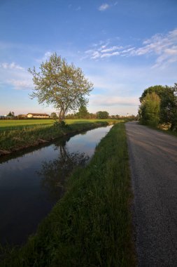 Gün batımında kırsalda bir su deresi ile çevrili bir yol.