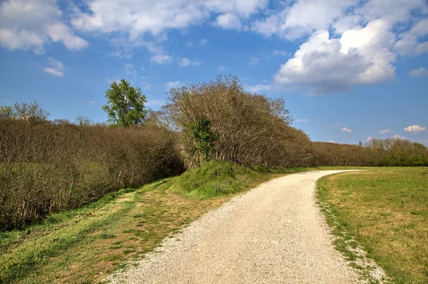 Doblar Camino Grava Junto Bosque Campo Italiano Primavera —  Fotos de Stock