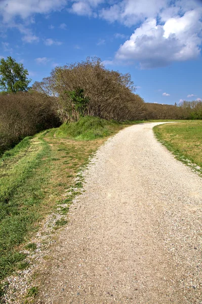 Dobre Uma Estrada Cascalho Lado Bosque Paisagem Italiana Primavera — Fotografia de Stock